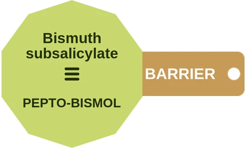 Bismuth subsalicylate ballicule — decagon diagram of its receptor and enzyme targets