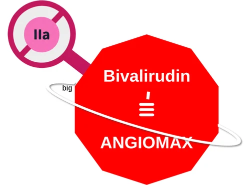 Bivalirudin ballicule — decagon diagram of its receptor and enzyme targets