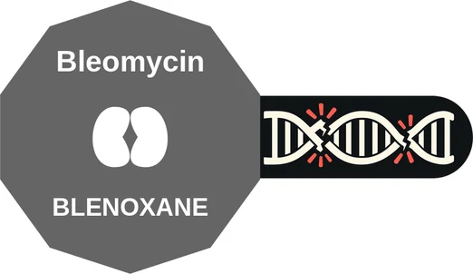 Bleomycin ballicule — decagon diagram of its receptor and enzyme targets