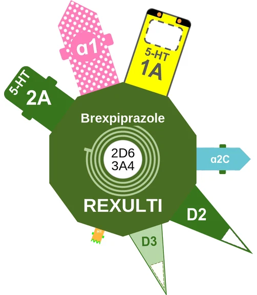 Brexpiprazole ballicule — decagon diagram of its receptor and enzyme targets