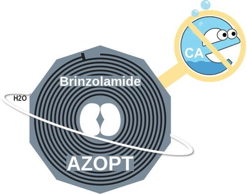 Brinzolamide ballicule — decagon diagram of its receptor and enzyme targets