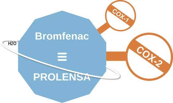 Bromfenac ballicule — decagon diagram of its receptor and enzyme targets