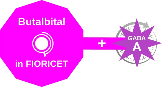 Butalbital ballicule — decagon diagram of its receptor and enzyme targets