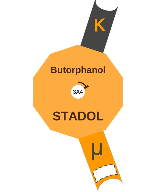 Butorphanol ballicule — decagon diagram of its receptor and enzyme targets