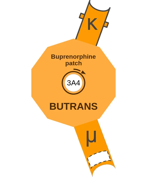 Buprenorphine patch ballicule — decagon diagram of its receptor and enzyme targets