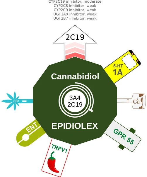 Cannabidiol ballicule — decagon diagram of its receptor and enzyme targets