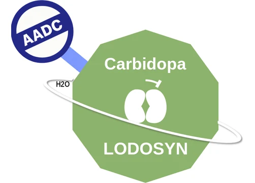 Carbidopa ballicule — decagon diagram of its receptor and enzyme targets