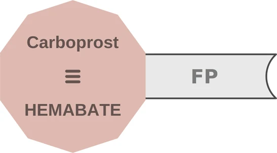 Carboprost ballicule — decagon diagram of its receptor and enzyme targets