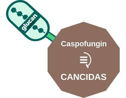 Caspofungin ballicule — decagon diagram of its receptor and enzyme targets