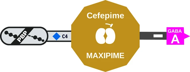 Cefepime ballicule — decagon diagram of its receptor and enzyme targets