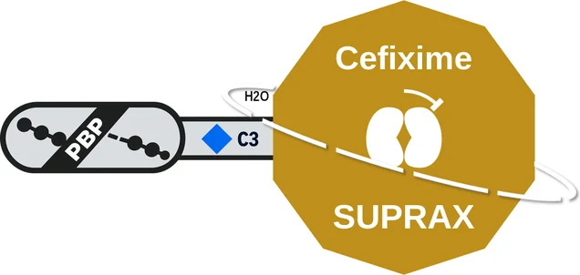 Cefixime ballicule — decagon diagram of its receptor and enzyme targets