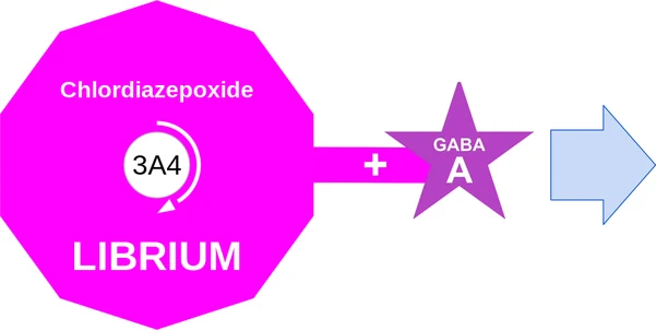 Chlordiazepoxide ballicule — decagon diagram of its receptor and enzyme targets
