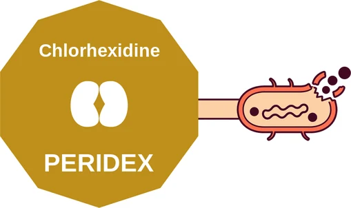 Chlorhexidine ballicule — decagon diagram of its receptor and enzyme targets