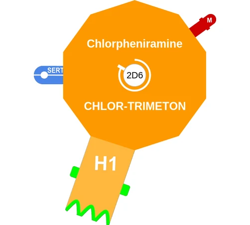 Chlorpheniramine ballicule — decagon diagram of its receptor and enzyme targets