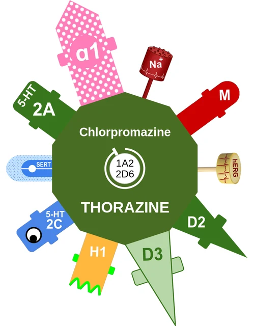 Chlorpromazine ballicule — decagon diagram of its receptor and enzyme targets