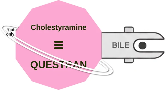 Cholestyramine ballicule — decagon diagram of its receptor and enzyme targets