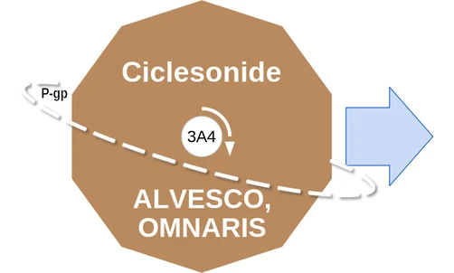 Ciclesonide ballicule — decagon diagram of its receptor and enzyme targets
