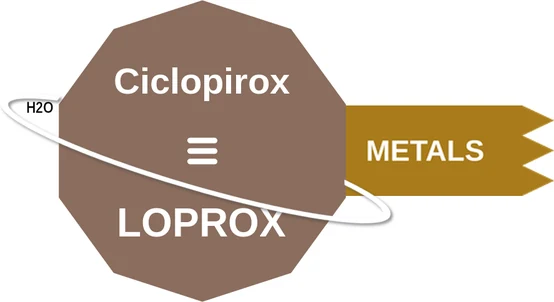 Ciclopirox ballicule — decagon diagram of its receptor and enzyme targets