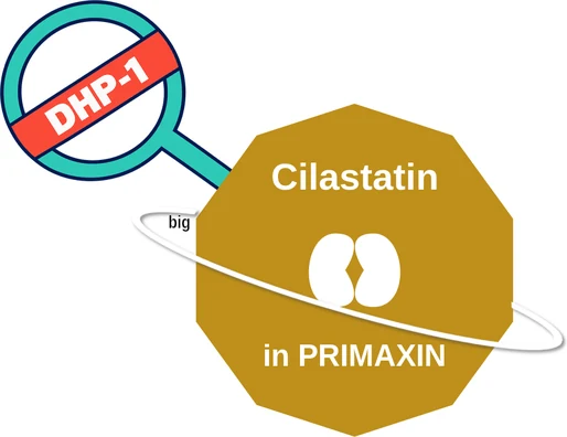 Cilastatin ballicule — decagon diagram of its receptor and enzyme targets