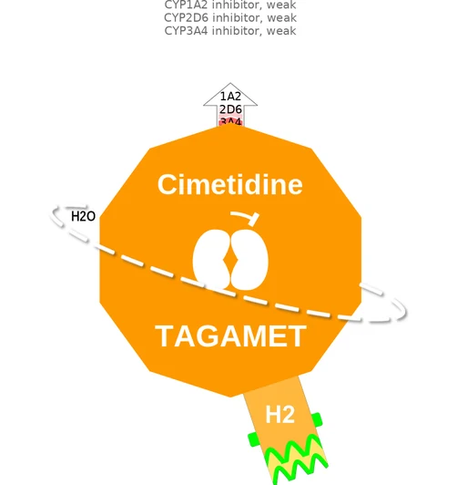Cimetidine ballicule — decagon diagram of its receptor and enzyme targets