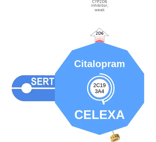 Citalopram ballicule — decagon diagram of its receptor and enzyme targets
