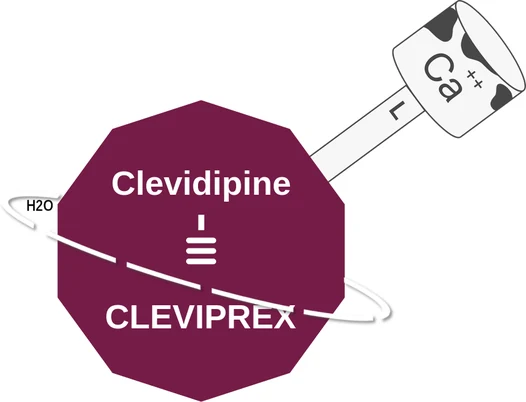 Clevidipine ballicule — decagon diagram of its receptor and enzyme targets