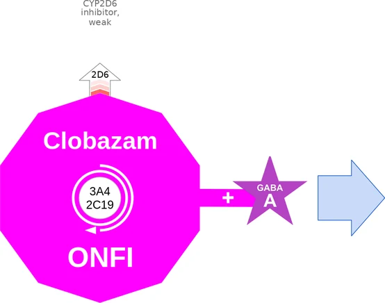 Clobazam ballicule — decagon diagram of its receptor and enzyme targets