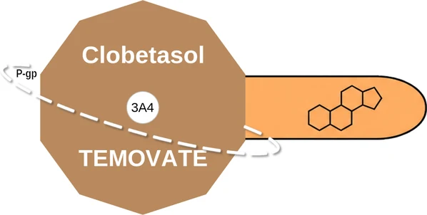 Clobetasol ballicule — decagon diagram of its receptor and enzyme targets