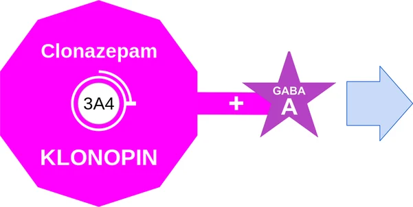 Clonazepam ballicule — decagon diagram of its receptor and enzyme targets