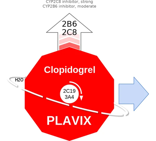 Clopidogrel ballicule — decagon diagram of its receptor and enzyme targets