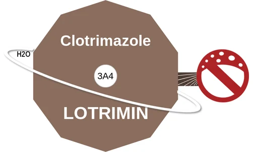Clotrimazole ballicule — decagon diagram of its receptor and enzyme targets