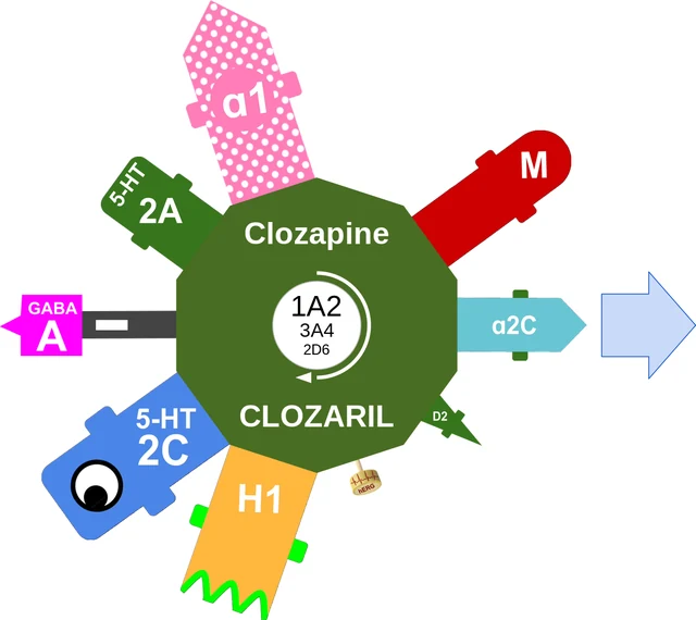 Clozapine ballicule — decagon diagram of its receptor and enzyme targets