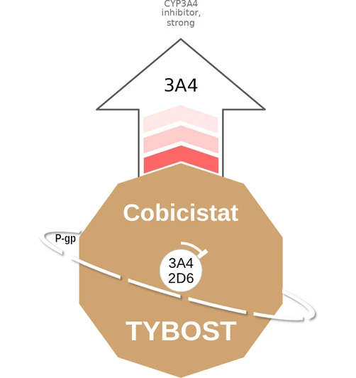 Cobicistat ballicule — decagon diagram of its receptor and enzyme targets