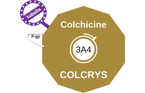 Colchicine ballicule — decagon diagram of its receptor and enzyme targets