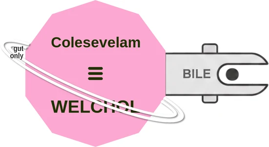 Colesevelam ballicule — decagon diagram of its receptor and enzyme targets