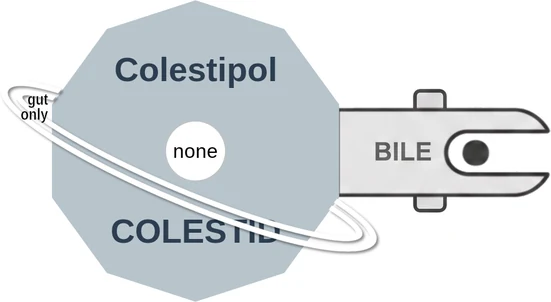Colestipol ballicule — decagon diagram of its receptor and enzyme targets
