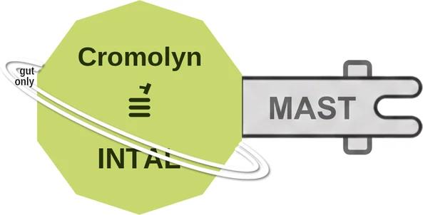 Cromolyn ballicule — decagon diagram of its receptor and enzyme targets