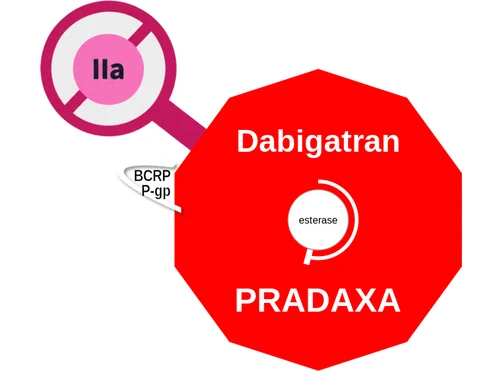 Dabigatran ballicule — decagon diagram of its receptor and enzyme targets