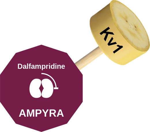 Dalfampridine ballicule — decagon diagram of its receptor and enzyme targets