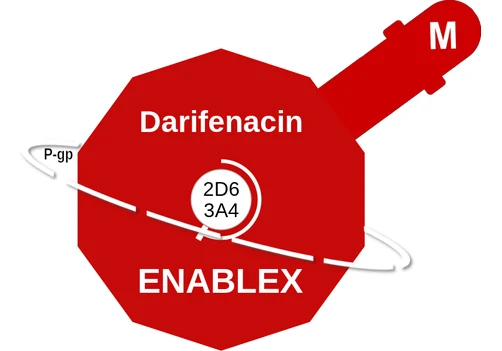 Darifenacin ballicule — decagon diagram of its receptor and enzyme targets