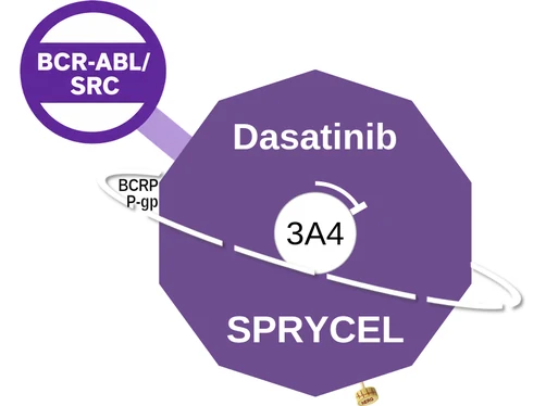 Dasatinib ballicule — decagon diagram of its receptor and enzyme targets