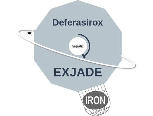 Deferasirox ballicule — decagon diagram of its receptor and enzyme targets
