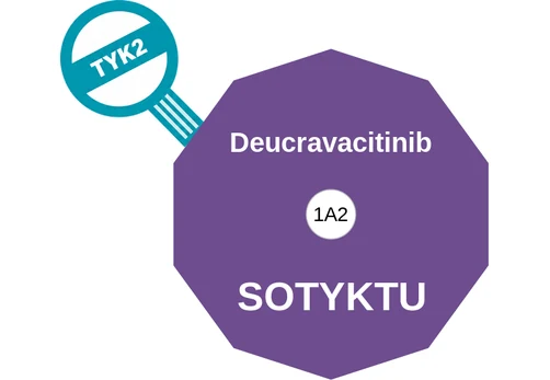 Deucravacitinib ballicule — decagon diagram of its receptor and enzyme targets
