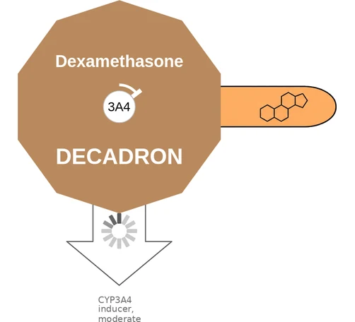 Dexamethasone ballicule — decagon diagram of its receptor and enzyme targets
