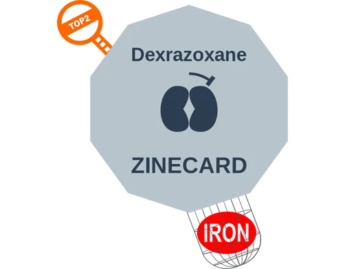 Dexrazoxane ballicule — decagon diagram of its receptor and enzyme targets