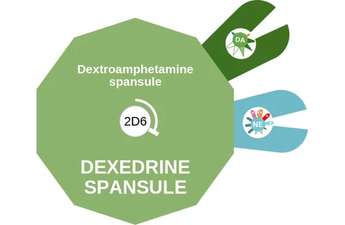 Dextroamphetamine spansule ballicule — decagon diagram of its receptor and enzyme targets