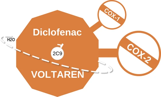 Diclofenac ballicule — decagon diagram of its receptor and enzyme targets