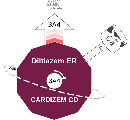 Diltiazem ER ballicule — decagon diagram of its receptor and enzyme targets