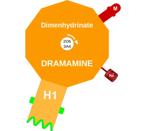 Dimenhydrinate ballicule — decagon diagram of its receptor and enzyme targets