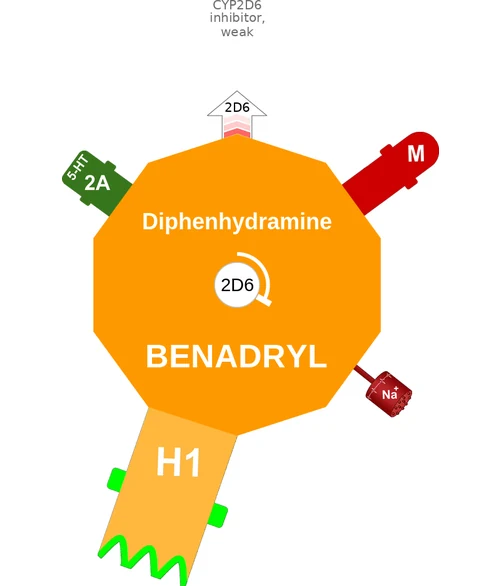 Diphenhydramine ballicule — decagon diagram of its receptor and enzyme targets